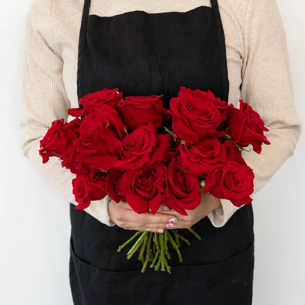 Undercover Roses Standard - alternative 2