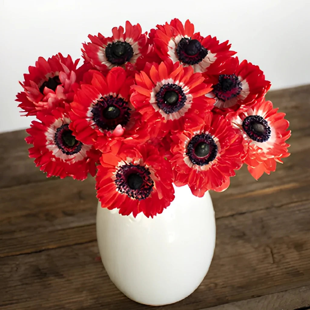Red Anemones - main