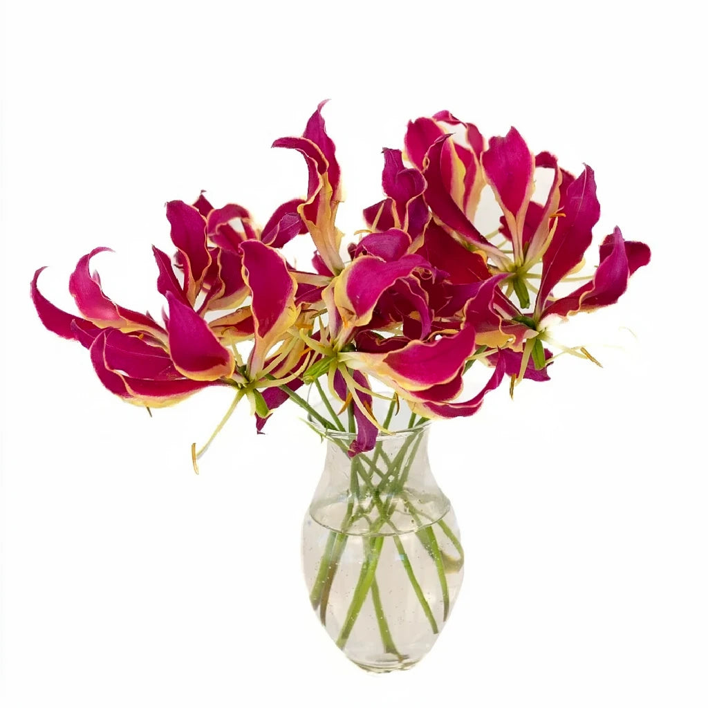 Red Lilies Oriental - alternative 2