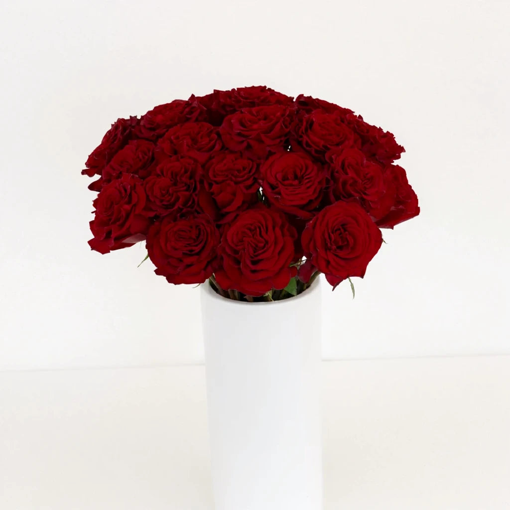 Wanted Roses Garden - alternative 1