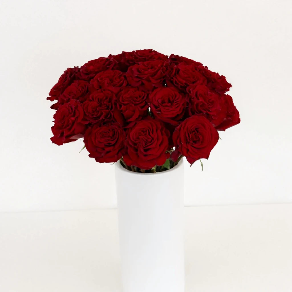 Red Hearts Roses Standard - alternative 3