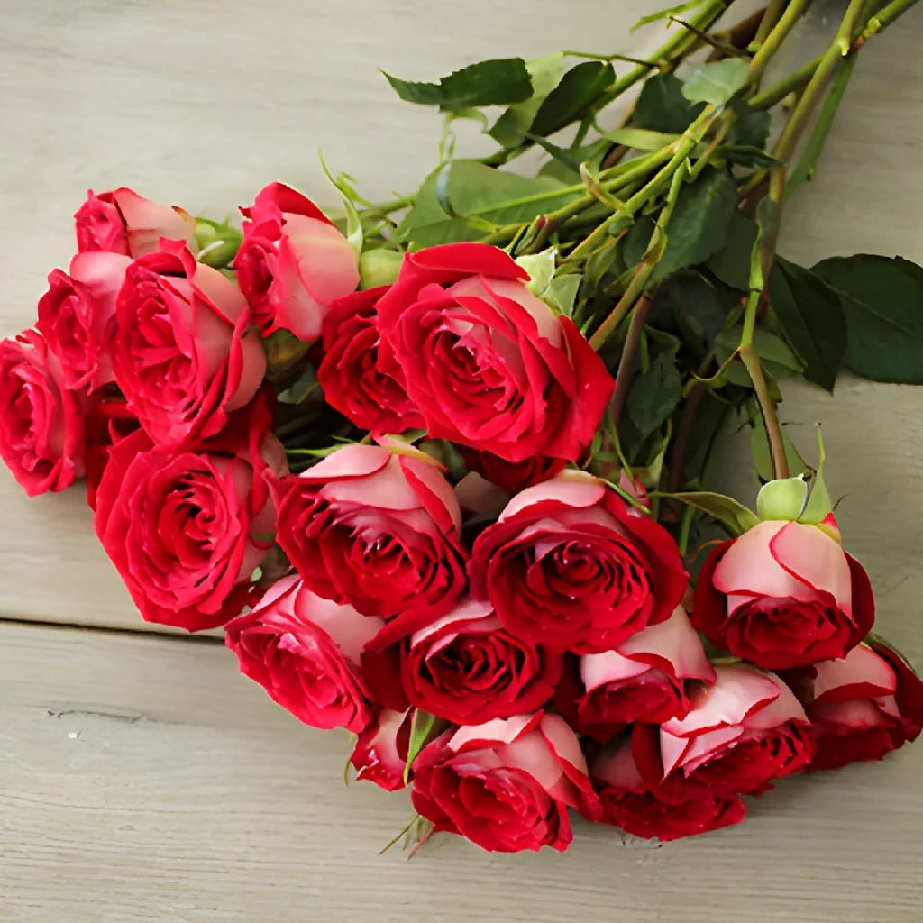 Red Roses Spray - alternative 5