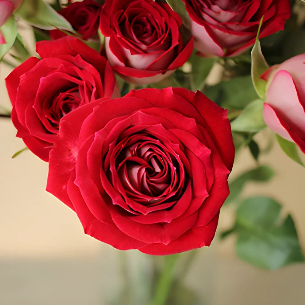 Red Roses Spray - alternative 1
