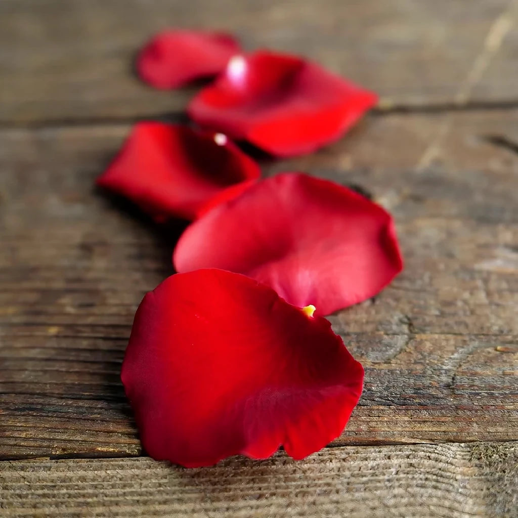 Red Rose Petals - main