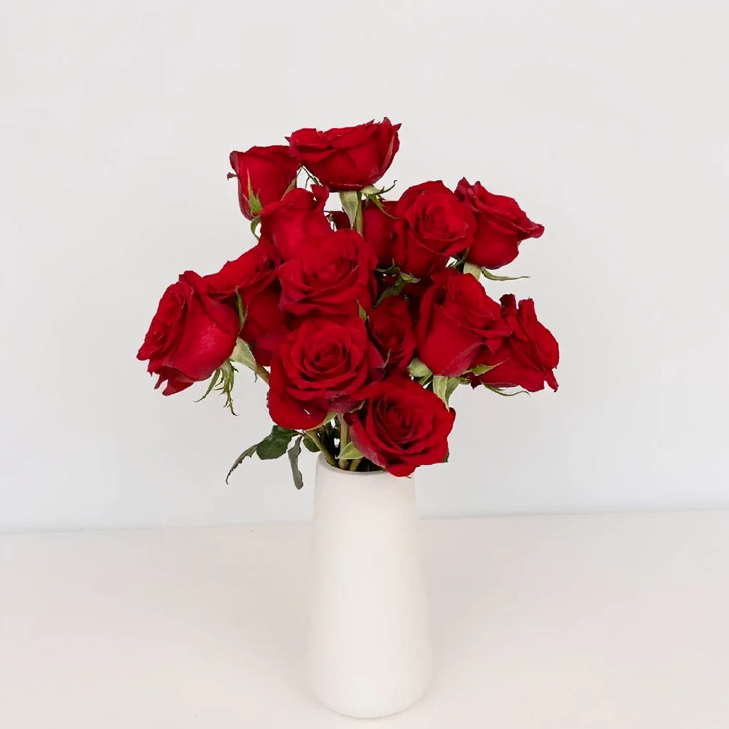 Red Roses Standard - alternative 1
