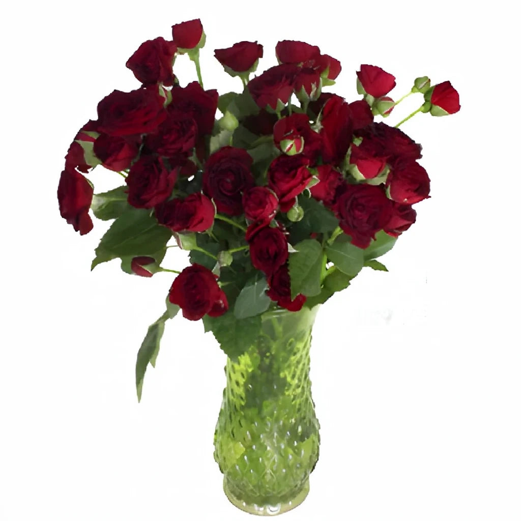 Red Sensation Roses Spray - alternative 2