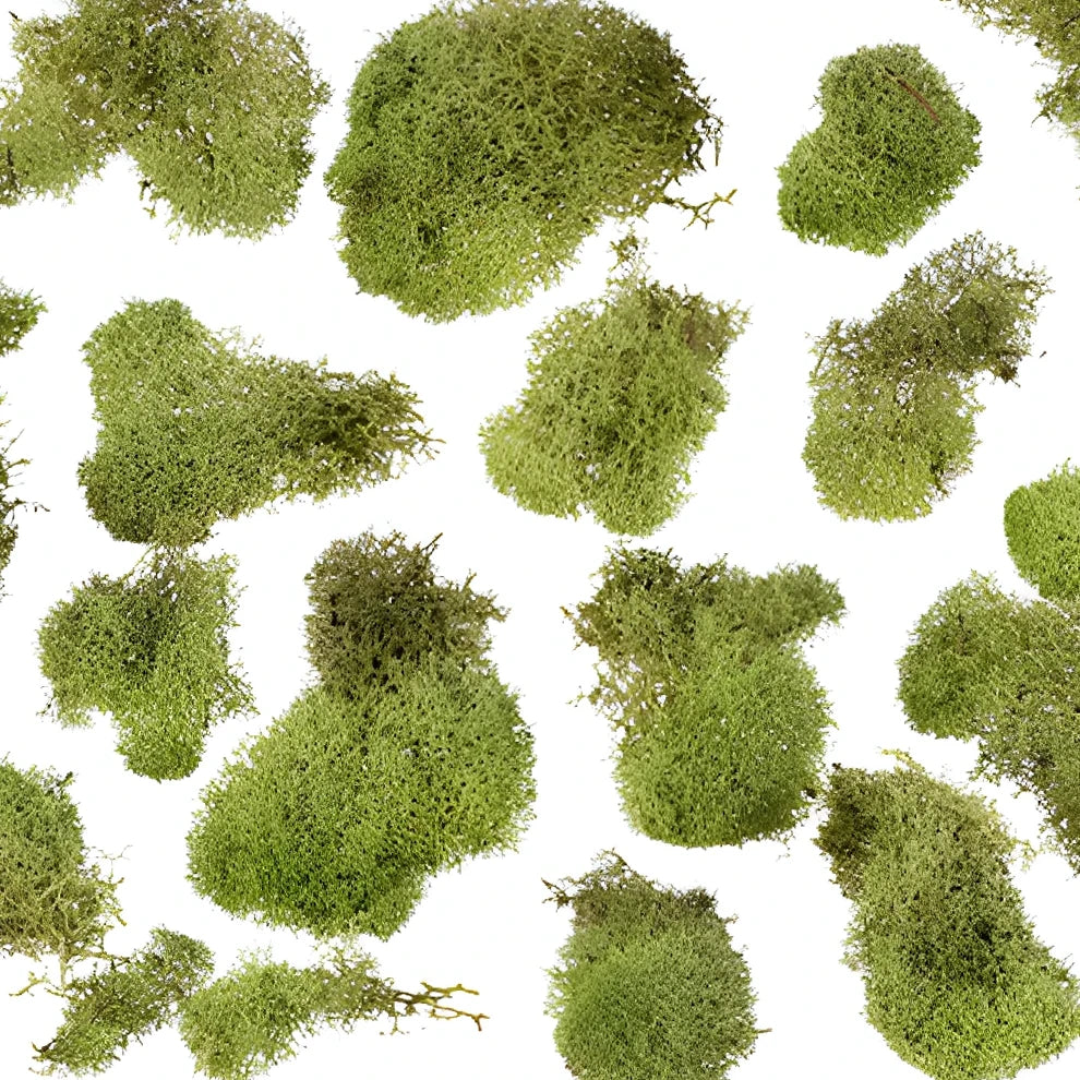 Reindeer Moss Greenery - alternative 2