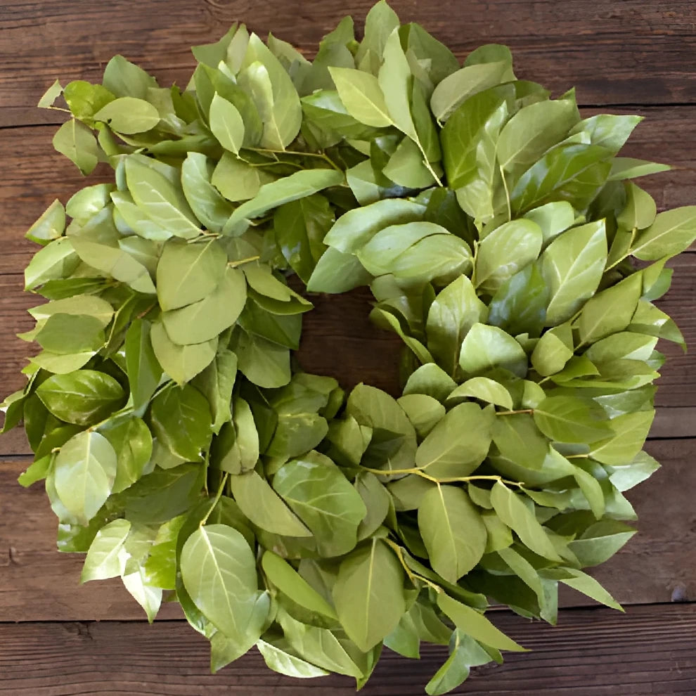 Wreath Salal Greenery - alternative 1