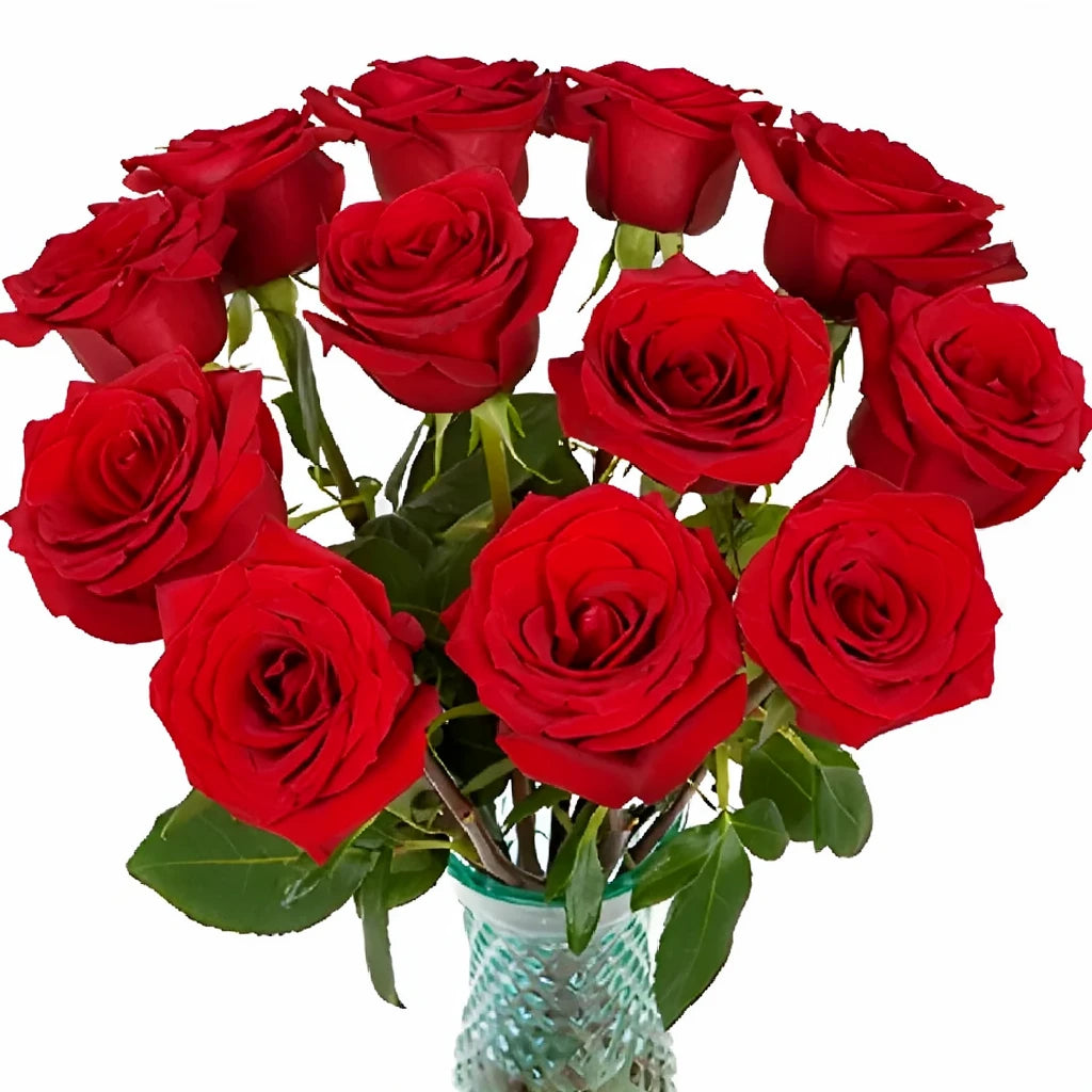 Scarlatta Roses Standard - alternative 3