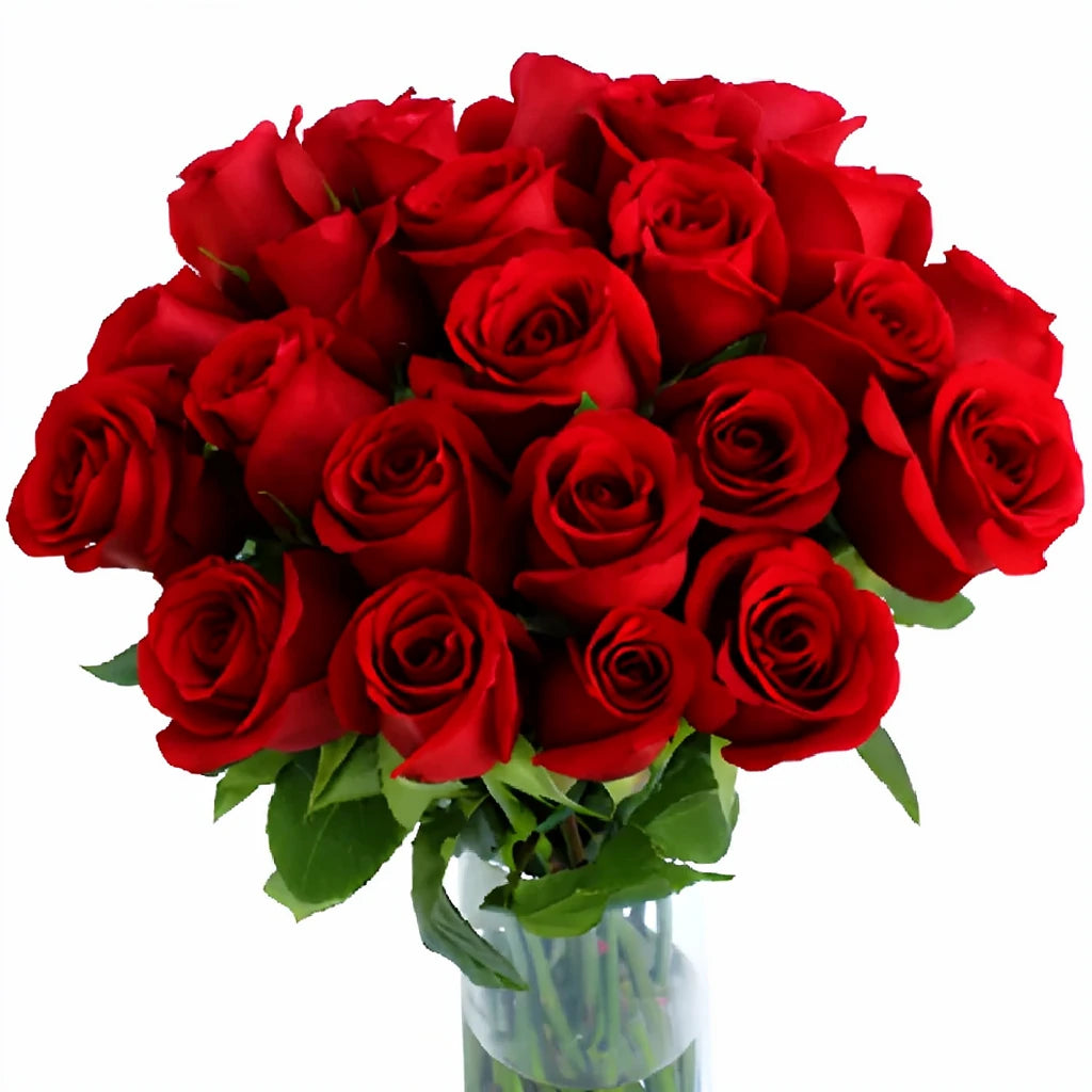 Sexy Red Roses Standard - alternative 1