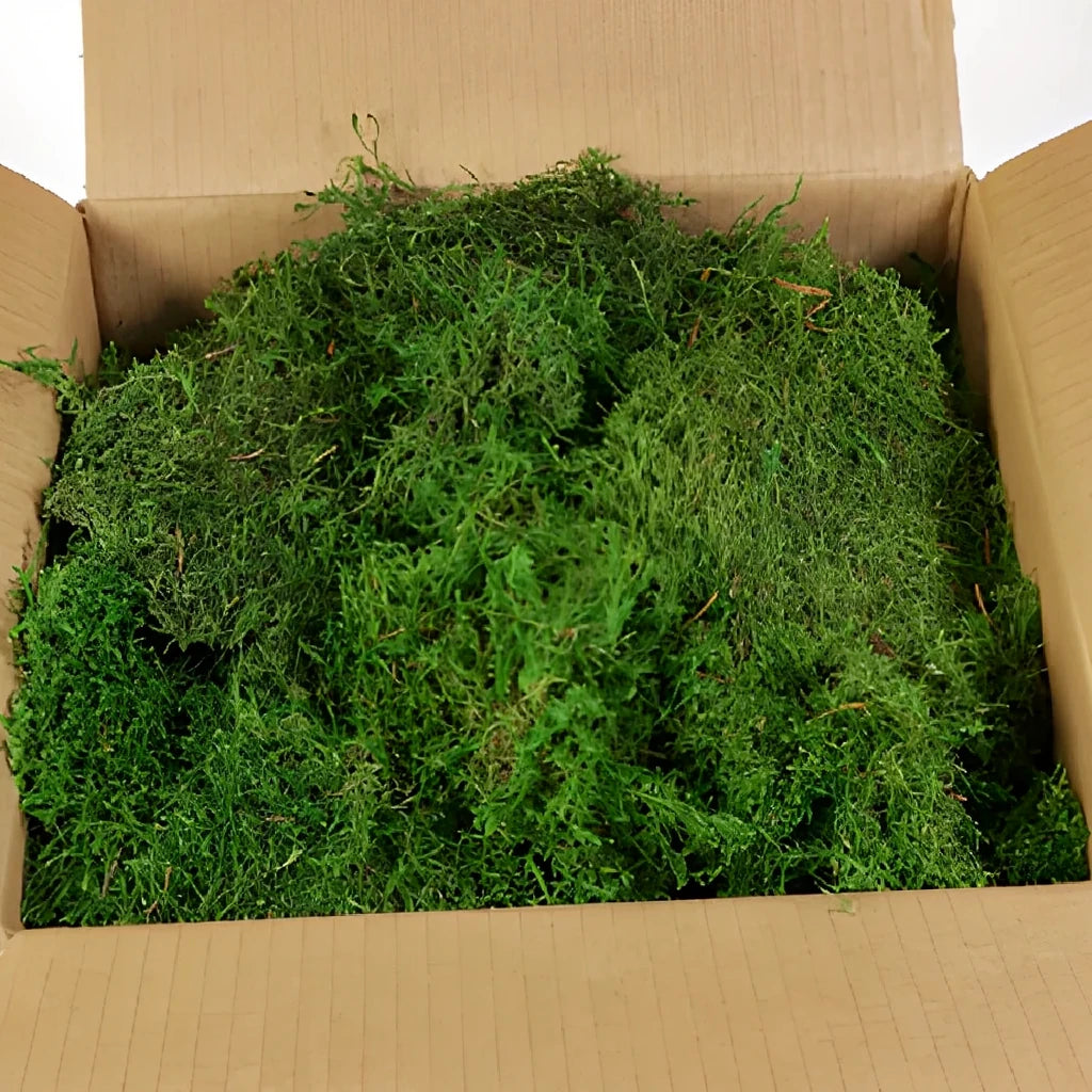 Sheet Moss Greenery - main