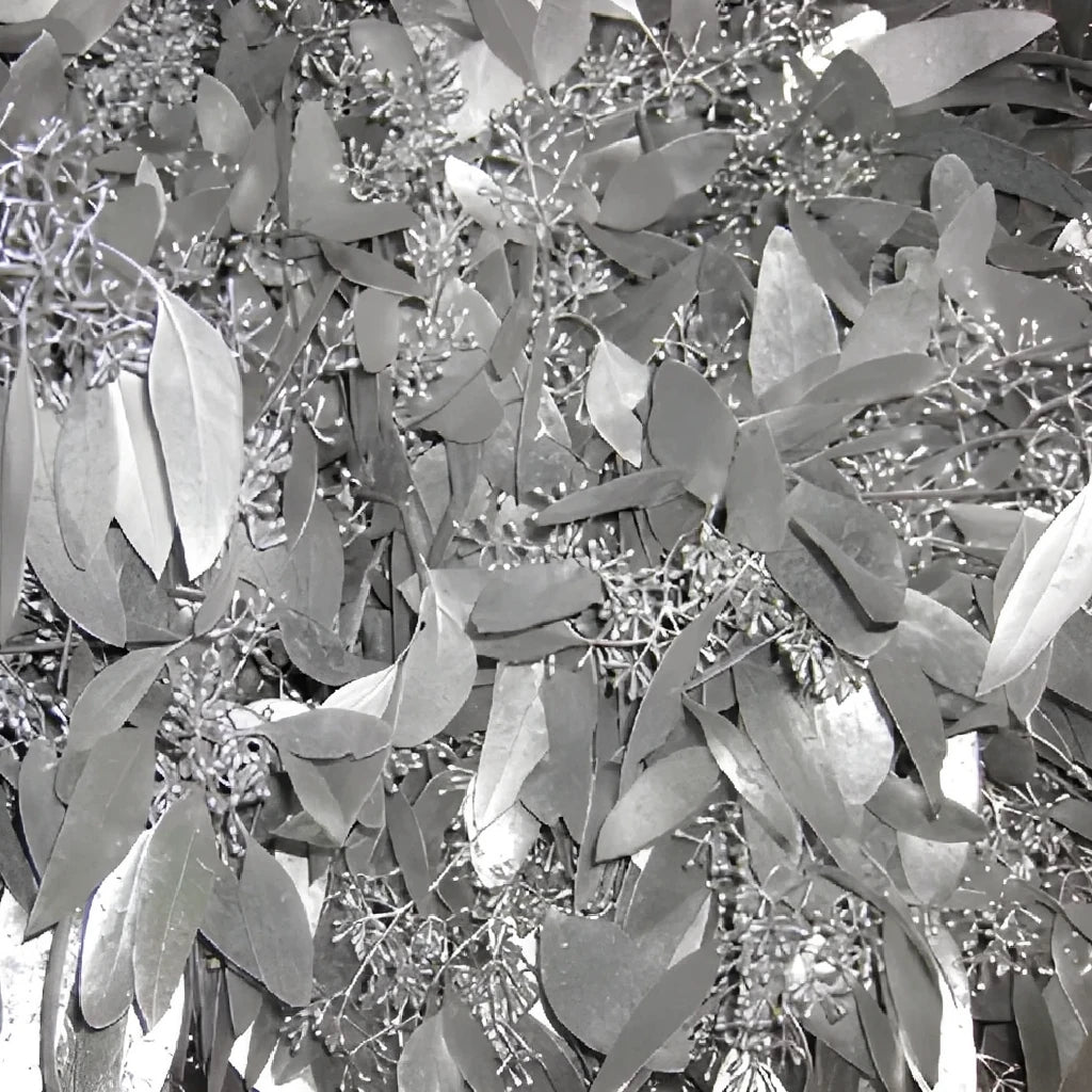 Tinted Seeded Eucalyptus Greenery - main