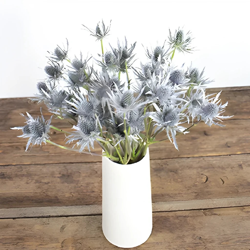 Tinted Silver Thistle - alternative 1