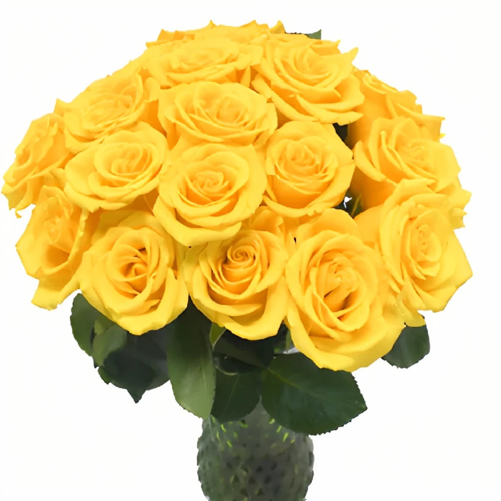 Sonrisa Roses Standard - alternative 1