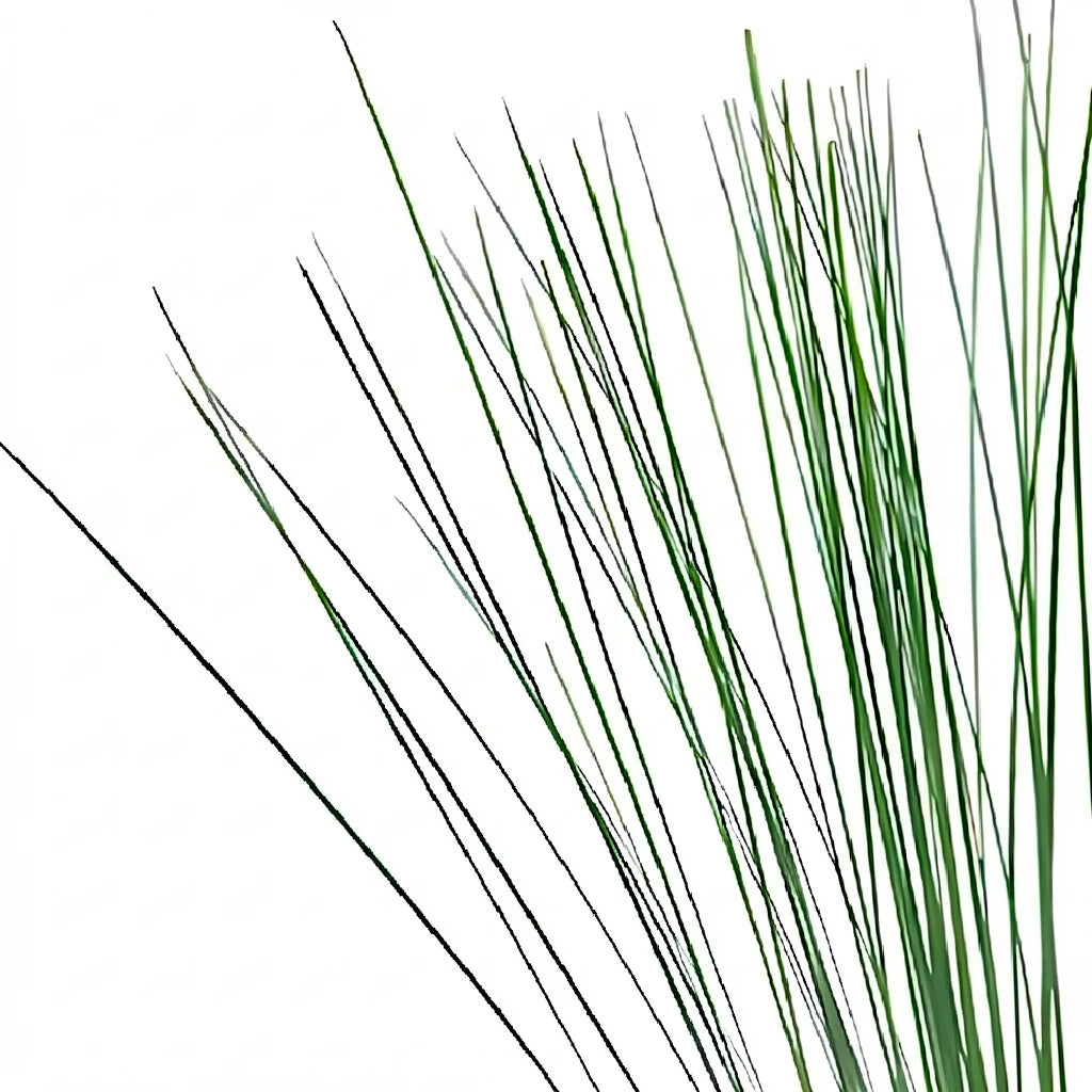 Steel Grass Greenery - main