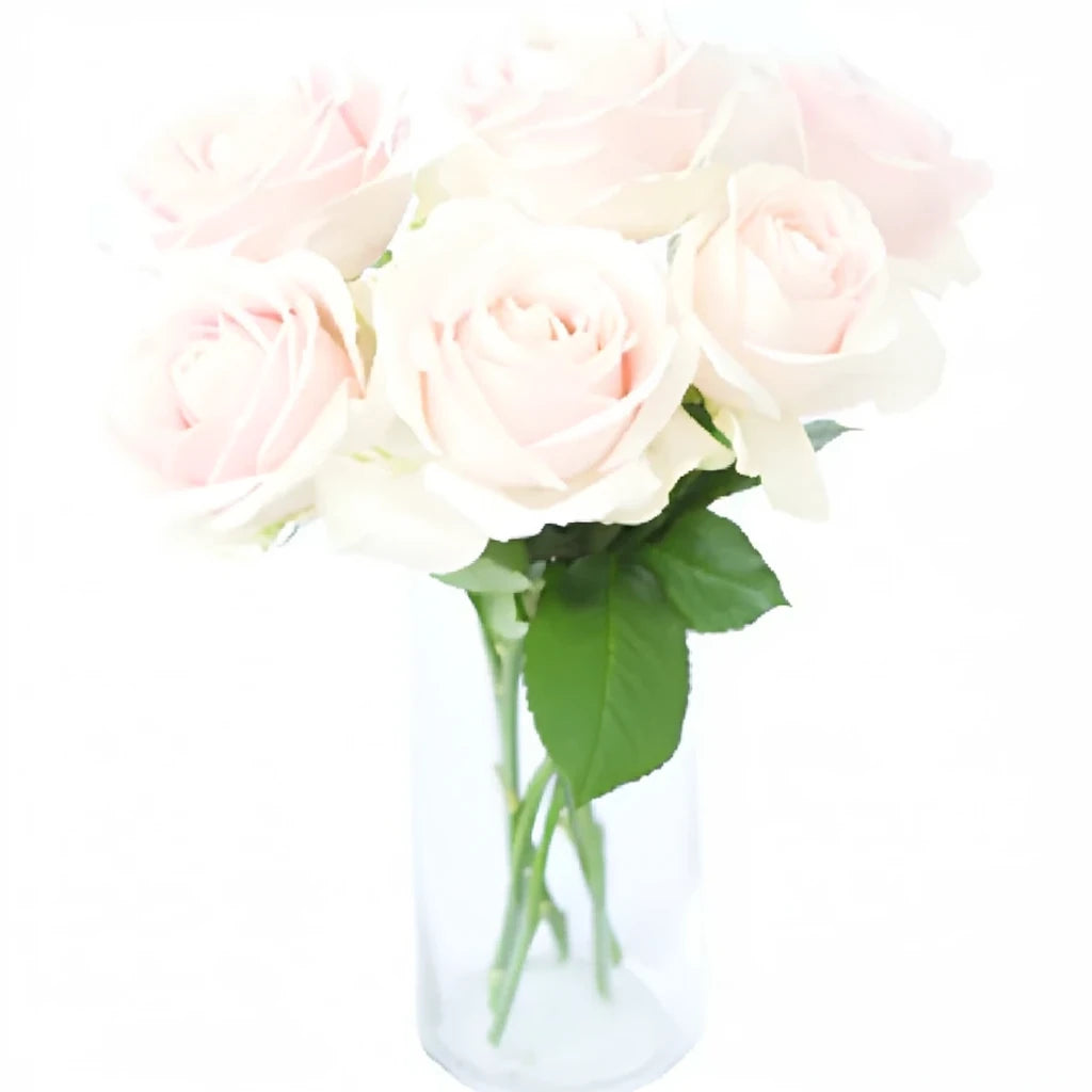 Sweet Avalanche Roses Standard - main