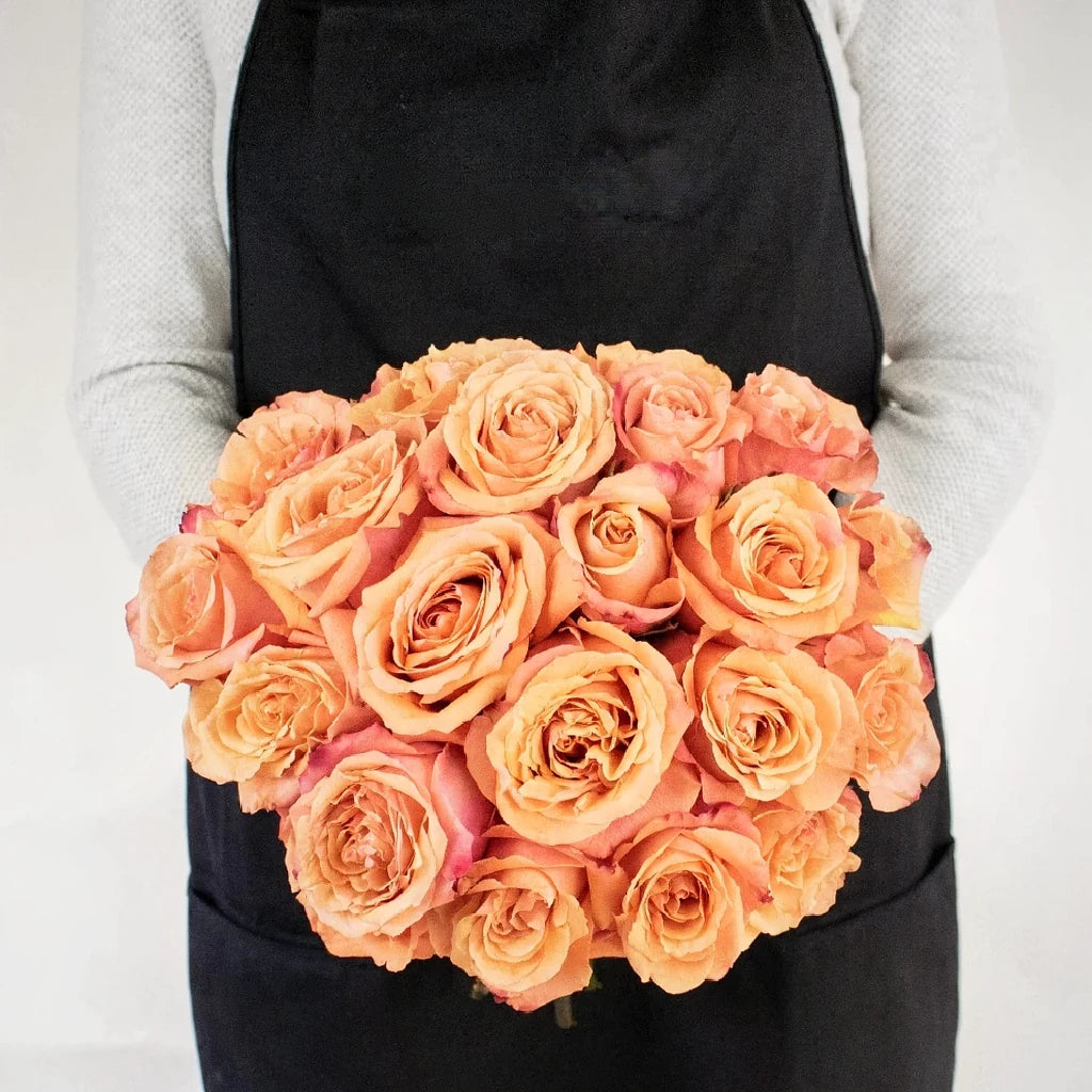 Taxo Roses Standard - main