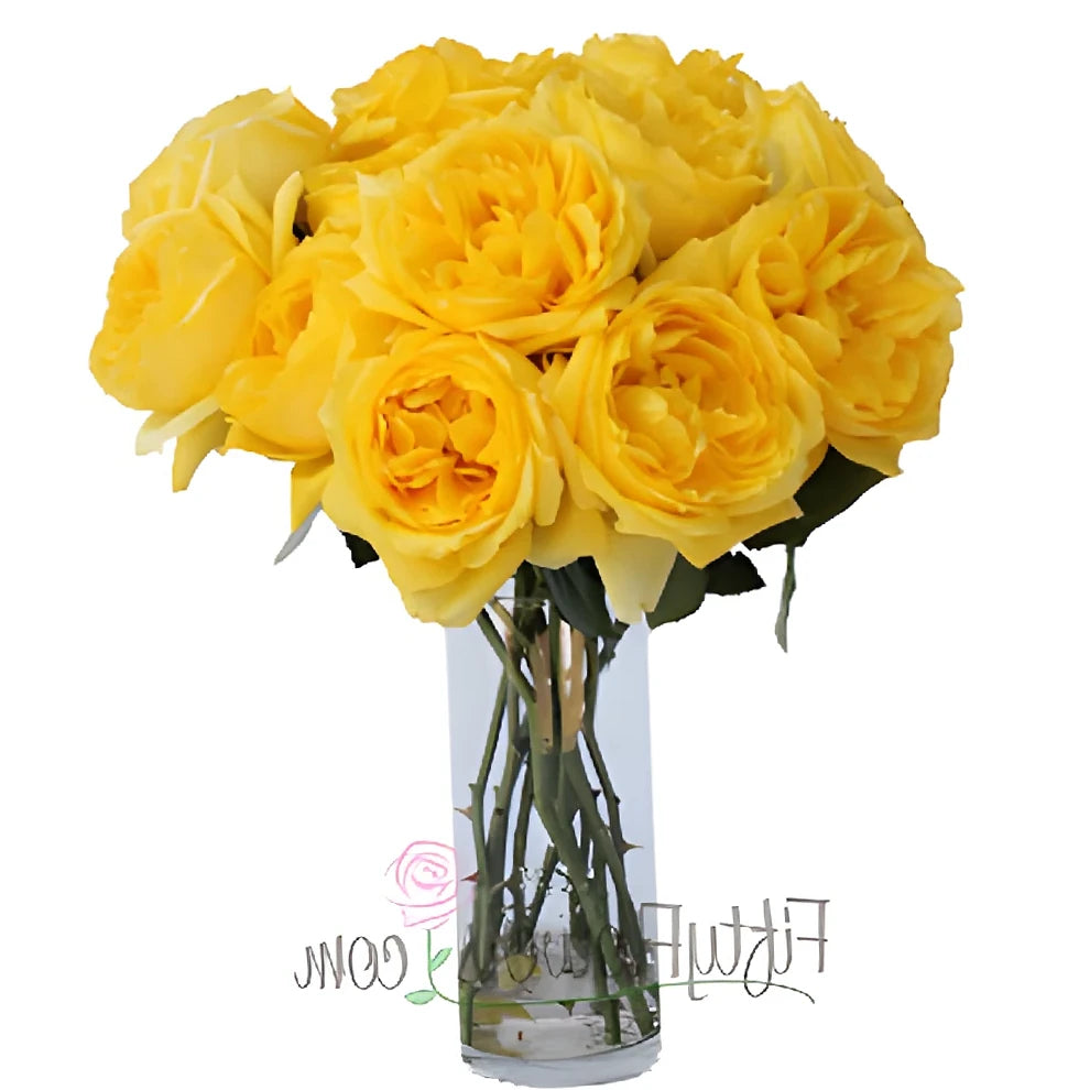 Toulousse Lautrec Roses Garden - alternative 3