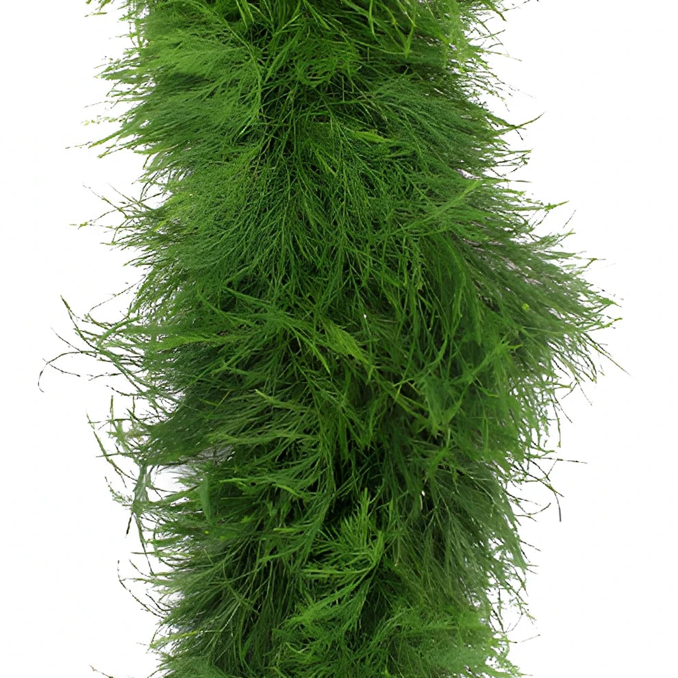 Tree Fern Garland - alternative 3