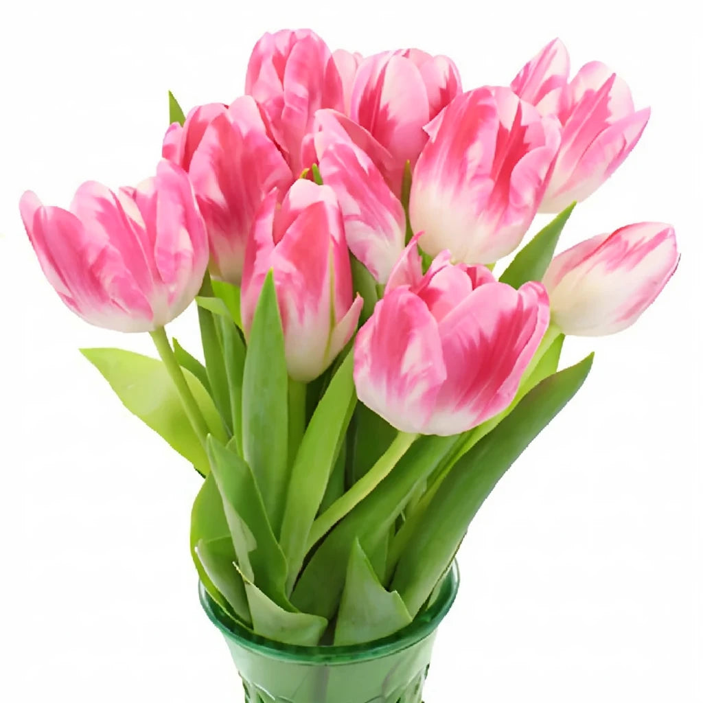 Pink Tulips Standard - alternative 1