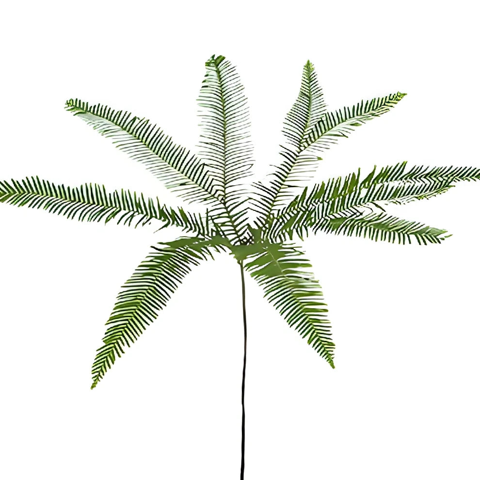 Umbrella Fern Greenery - alternative 1