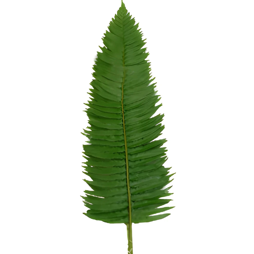 Flat Fern Greenery - alternative 1