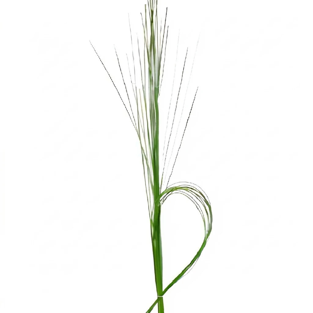 Steel Grass Greenery - alternative 1