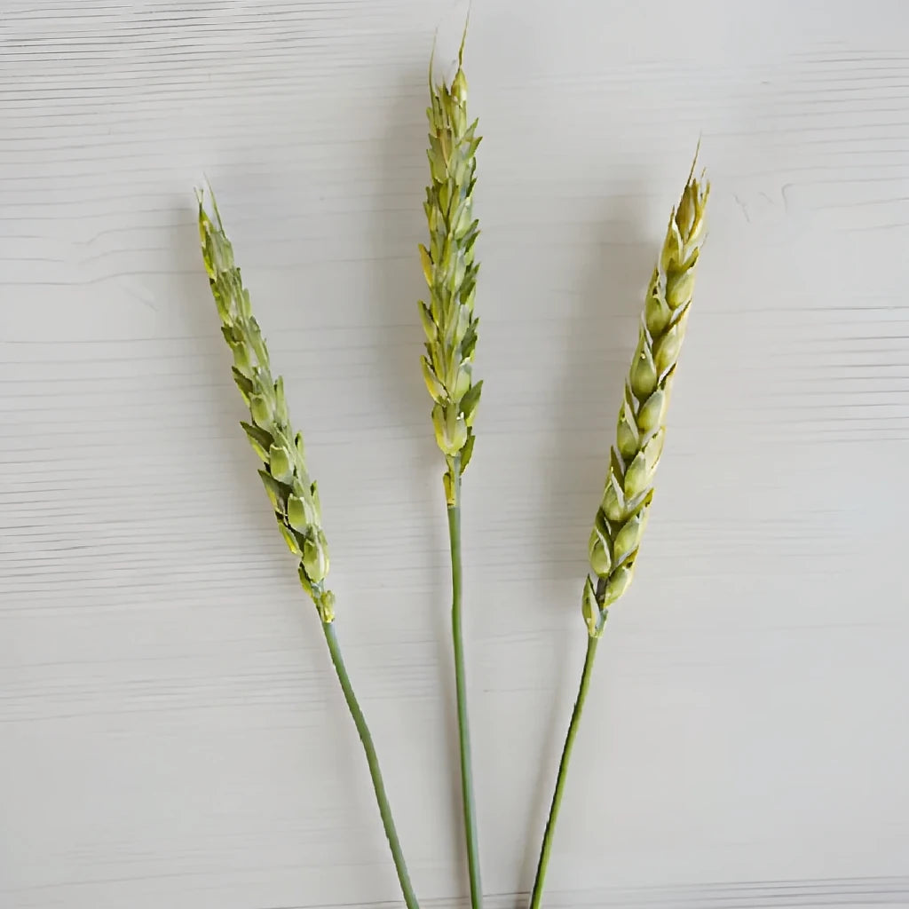 Wheat Greenery - alternative 2