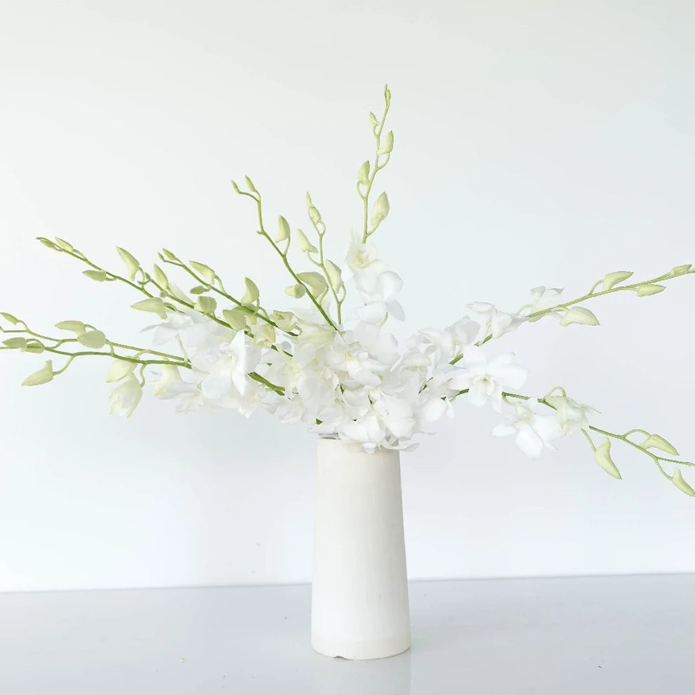 White Orchids Dendrobium - alternative 1