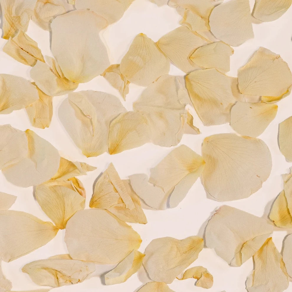 Freeze Dried White Rose Petals - alternative 1
