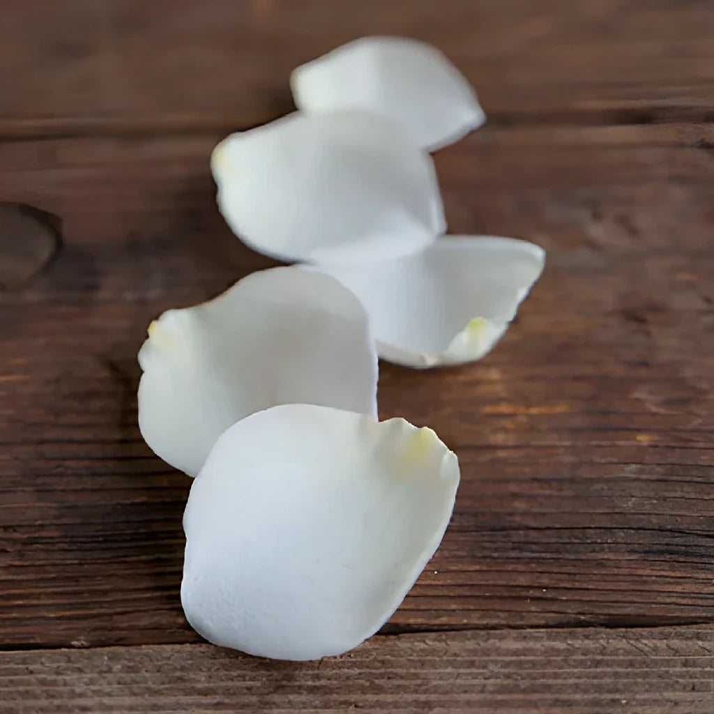 White Rose Petals - alternative 2
