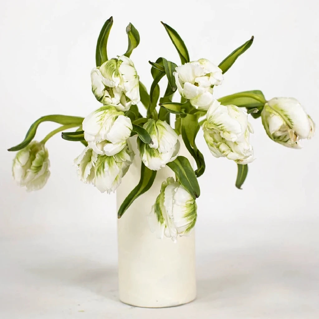 Green Tulips Parrot - main
