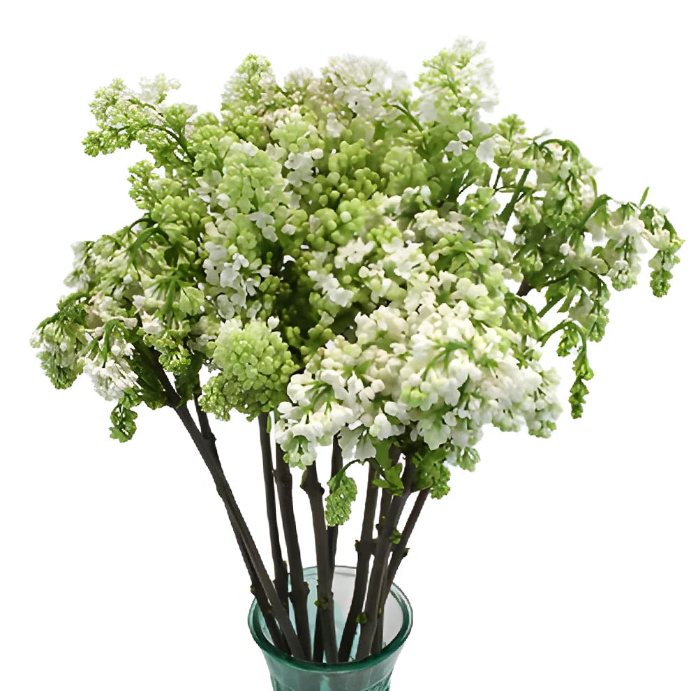 White Lilac - alternative 6