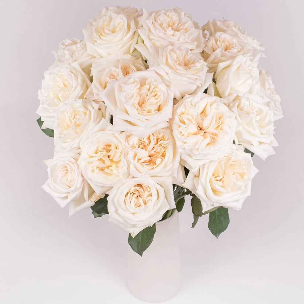 Bicolor Yellow & Orange Free Spirit Roses Standard - alternative 1