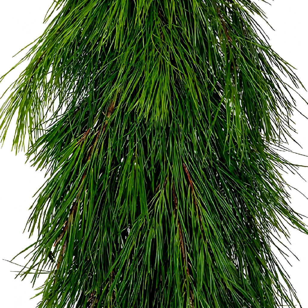 White PIne Greenery - main