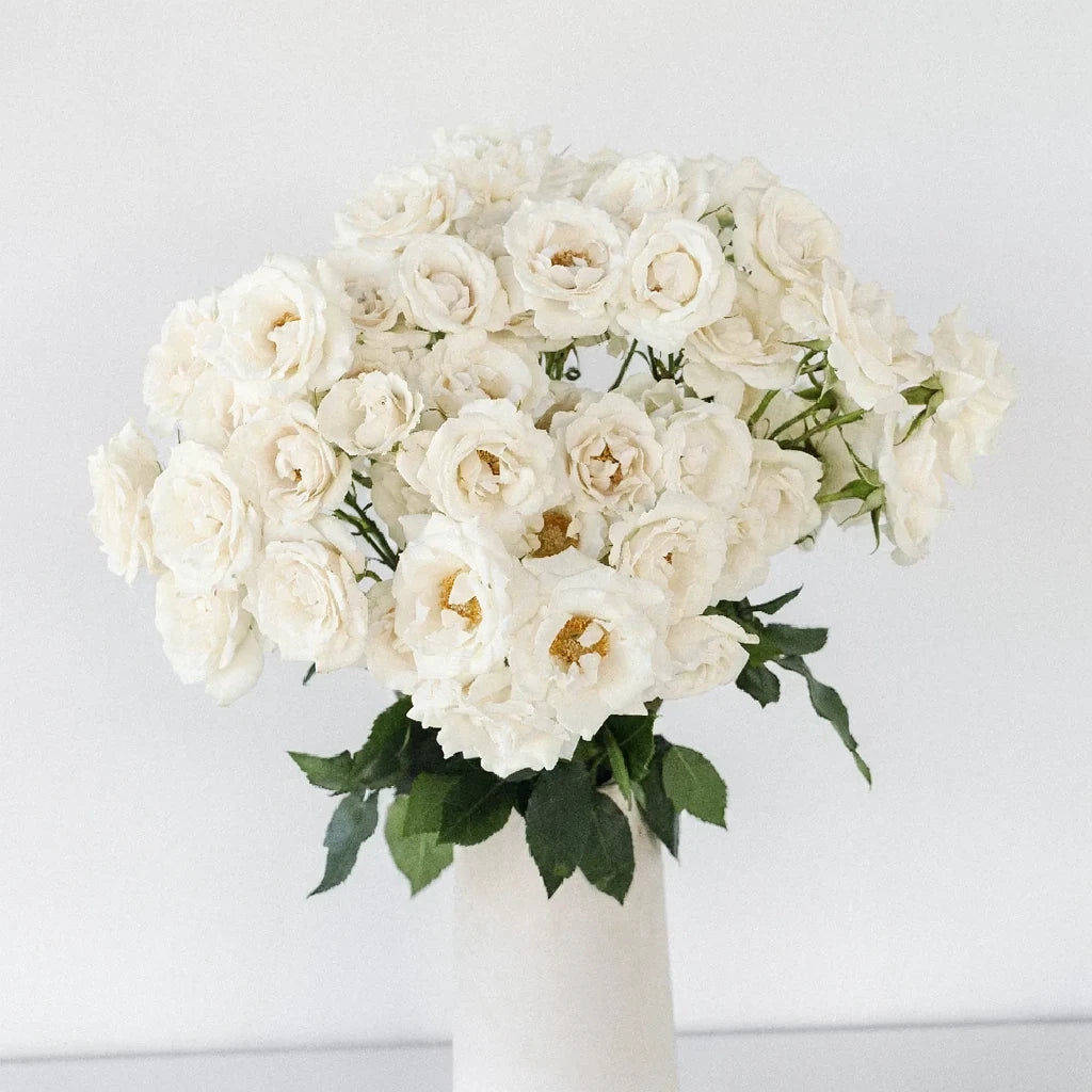 Viviane Roses Spray - alternative 1