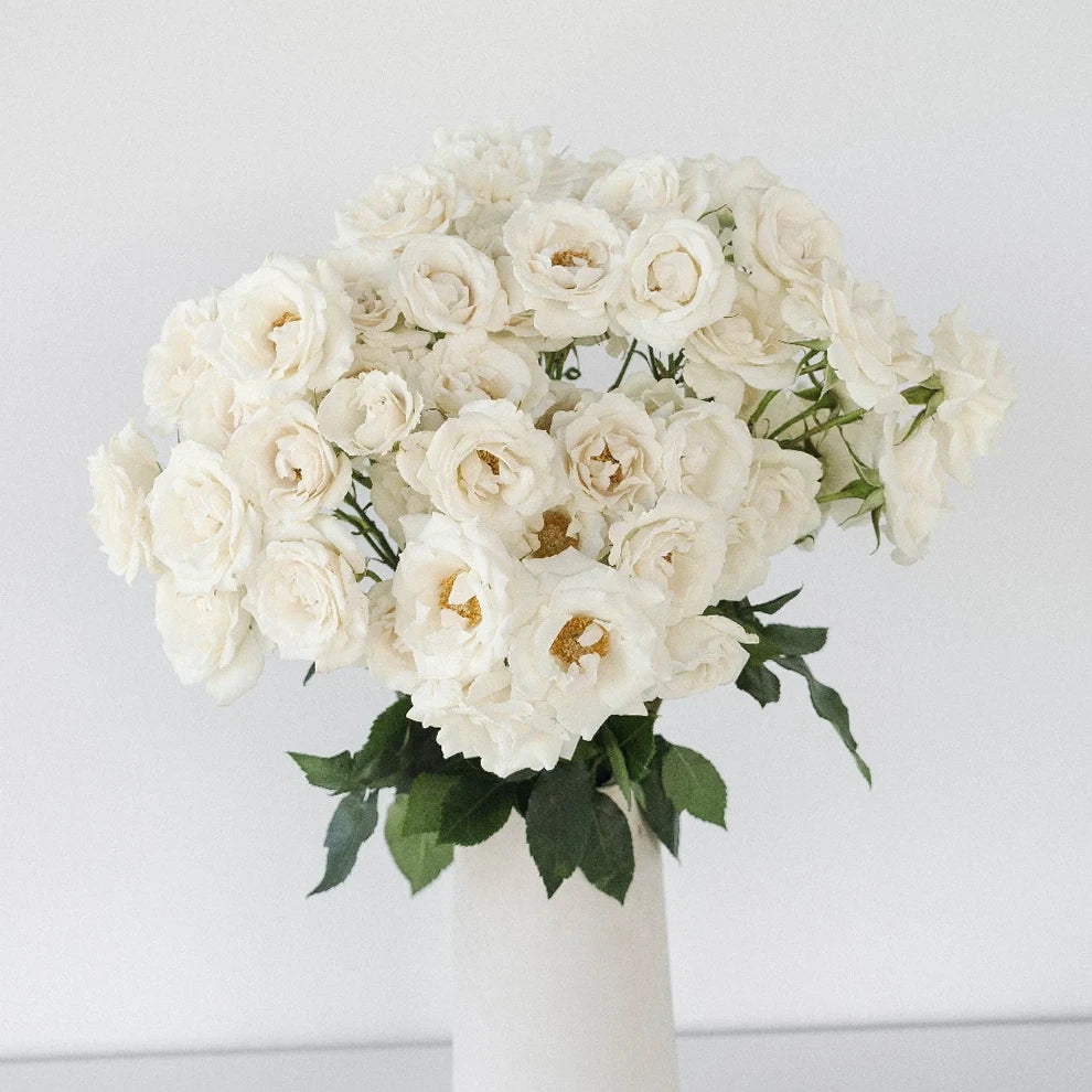 White Majolika Roses Spray - alternative 2