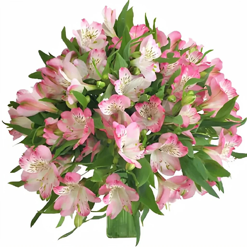Pink Alstroemeria - alternative 2
