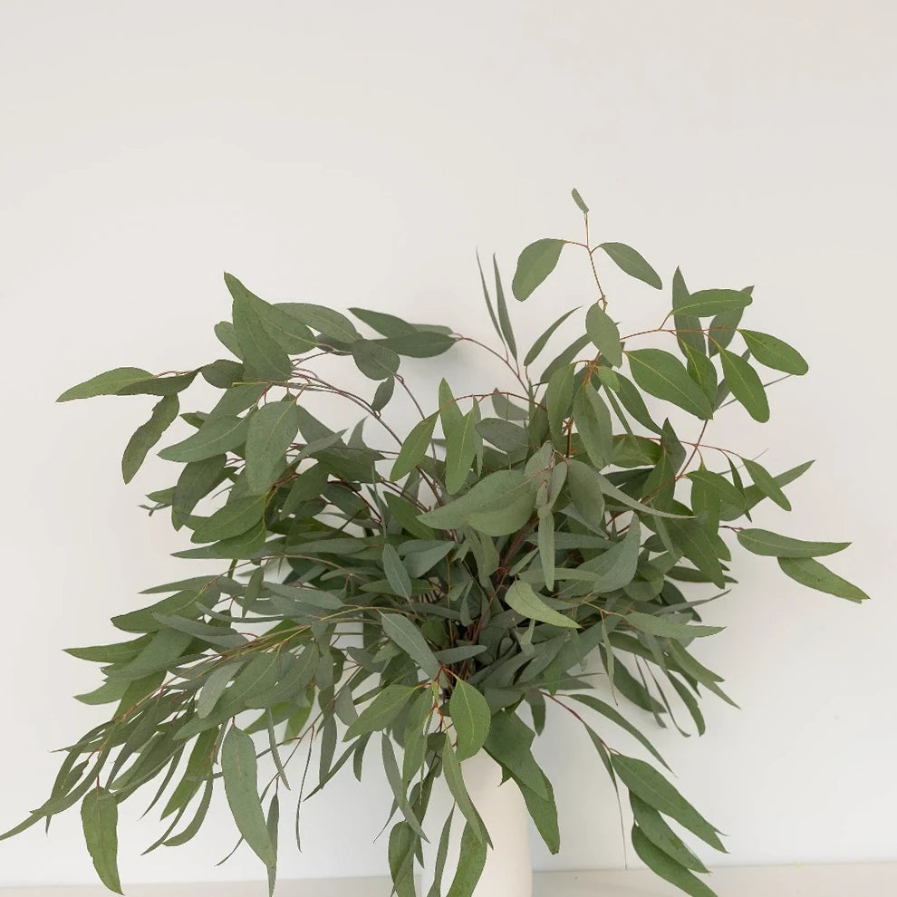 Eucalyptus Willow Greenery - alternative 1
