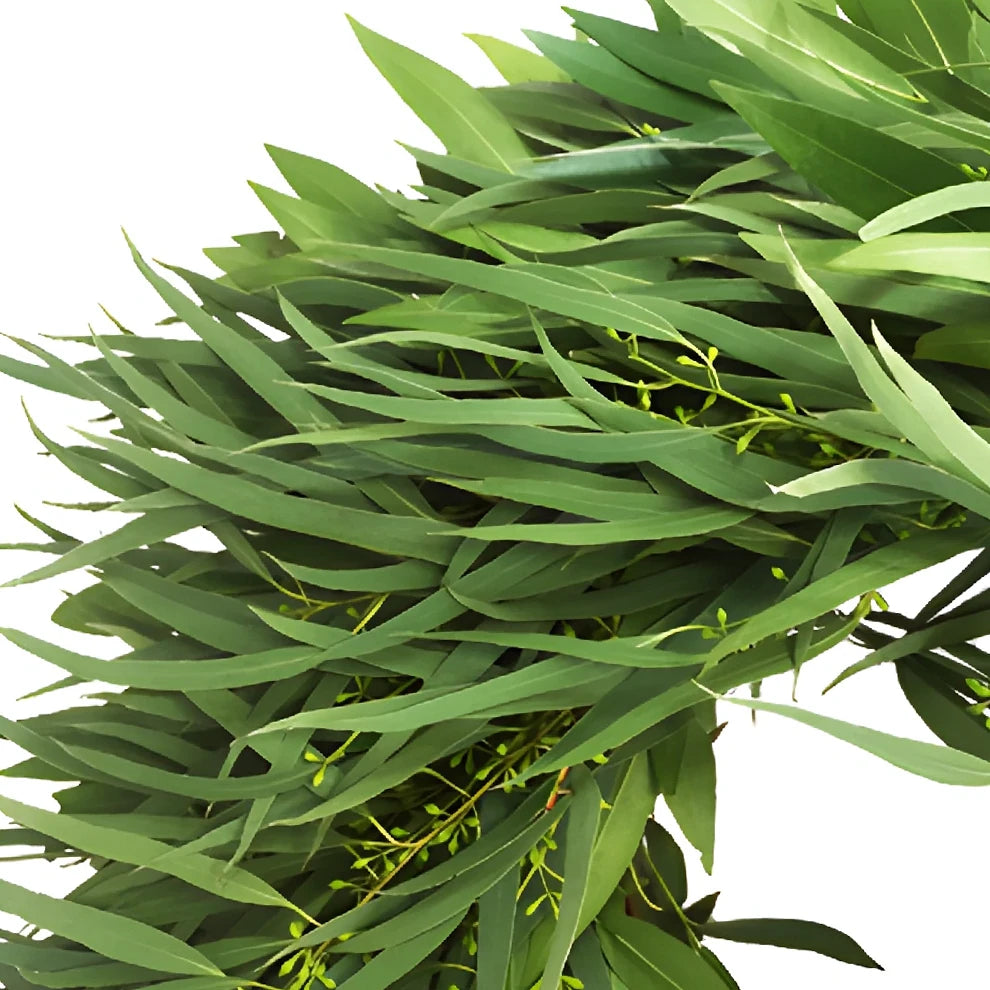 Wreath Bayleaf & Willow Greenery - main