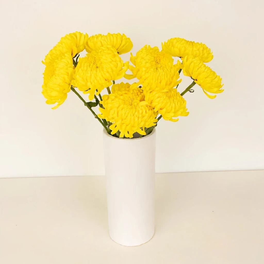 Yellow Football Mums - alternative 1