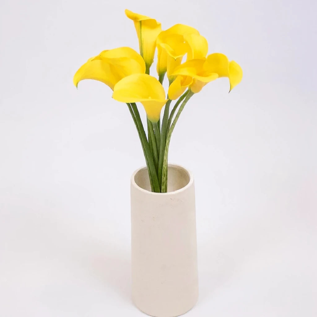 Golden Crown Calla Lily Mini - alternative 2
