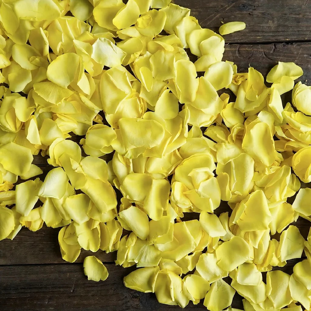 Yellow Rose Petals - alternative 3