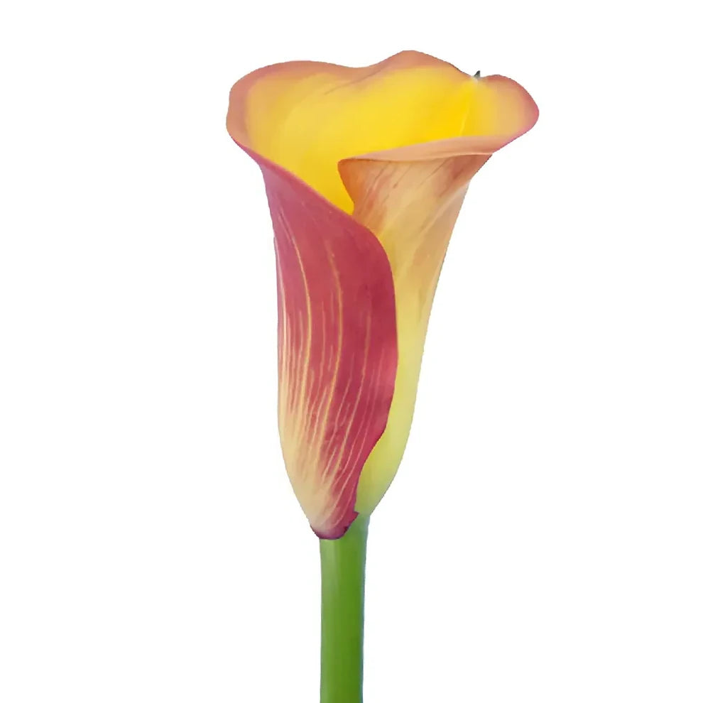 Flame Calla Lily Mini - alternative 4