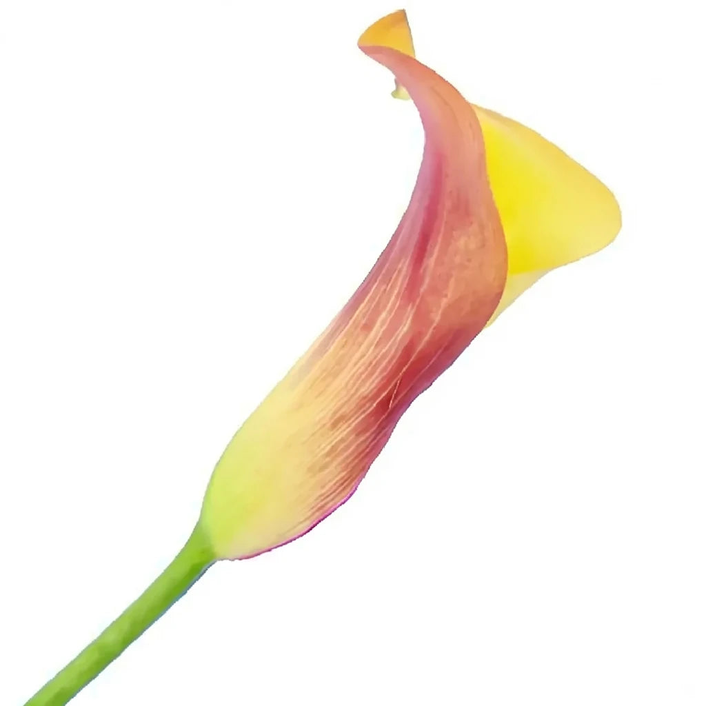 Flame Calla Lily Mini - alternative 1