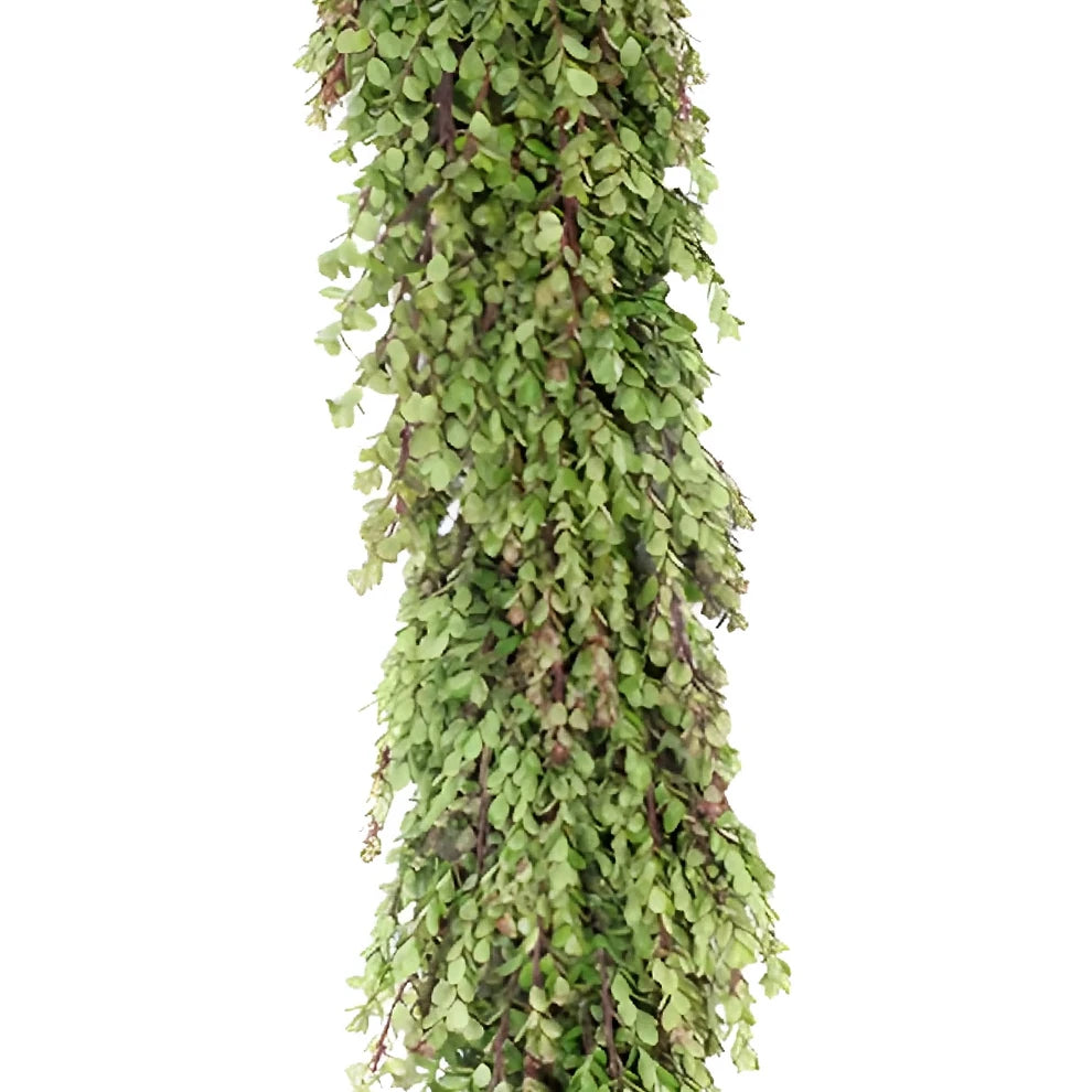 African Boxwood Garland - alternative 1