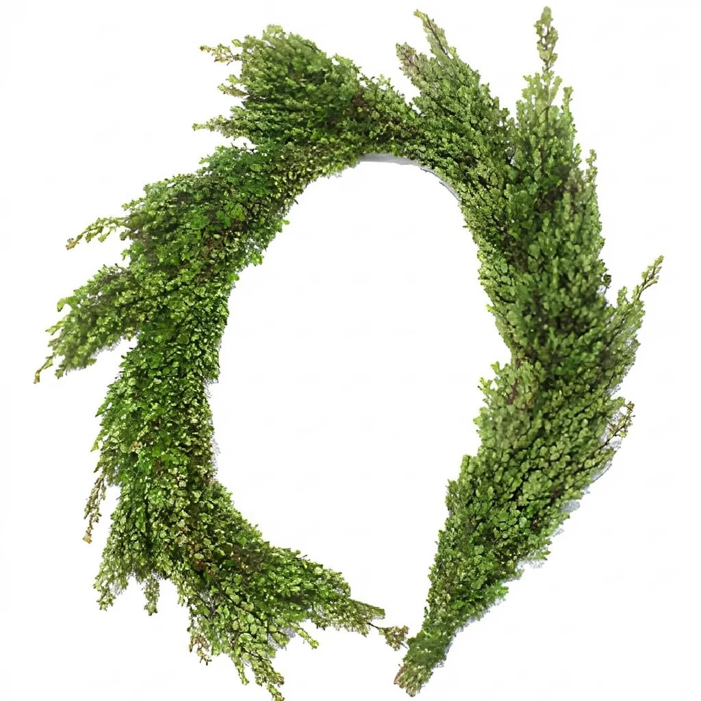 African Boxwood Garland - alternative 2