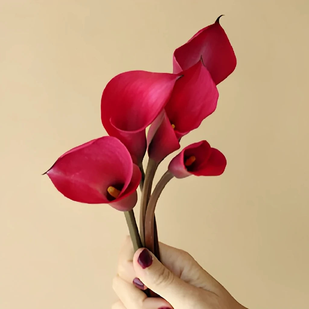 Alegria Calla Lily Mini - alternative 1
