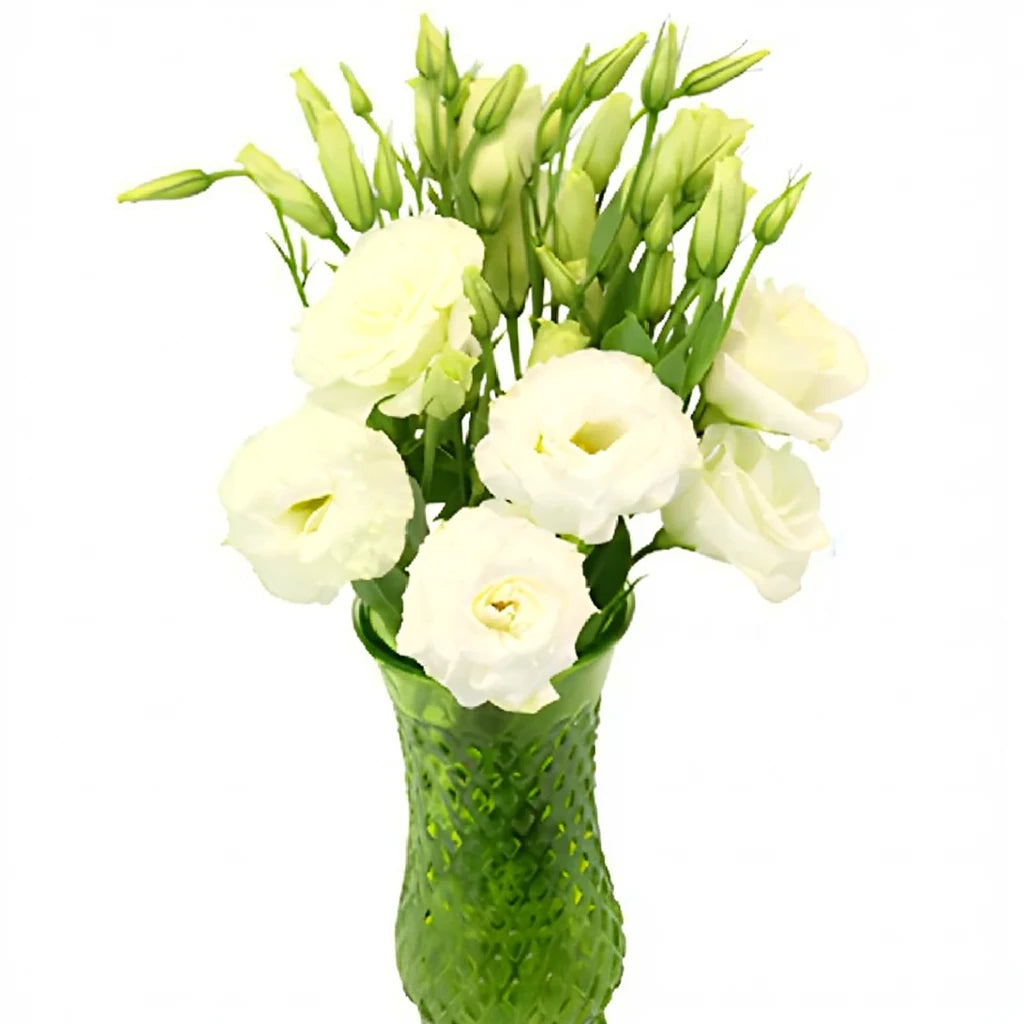 White Lisianthus - alternative 3