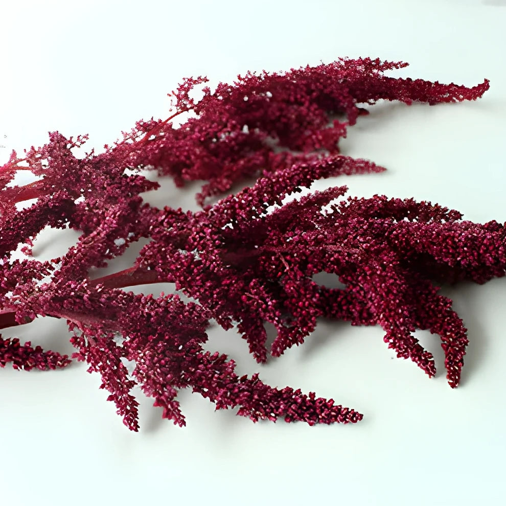 Upright Red Amaranthus - alternative 2